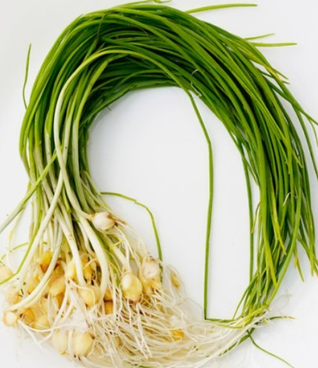 봄동-달래장-봄-제철음식