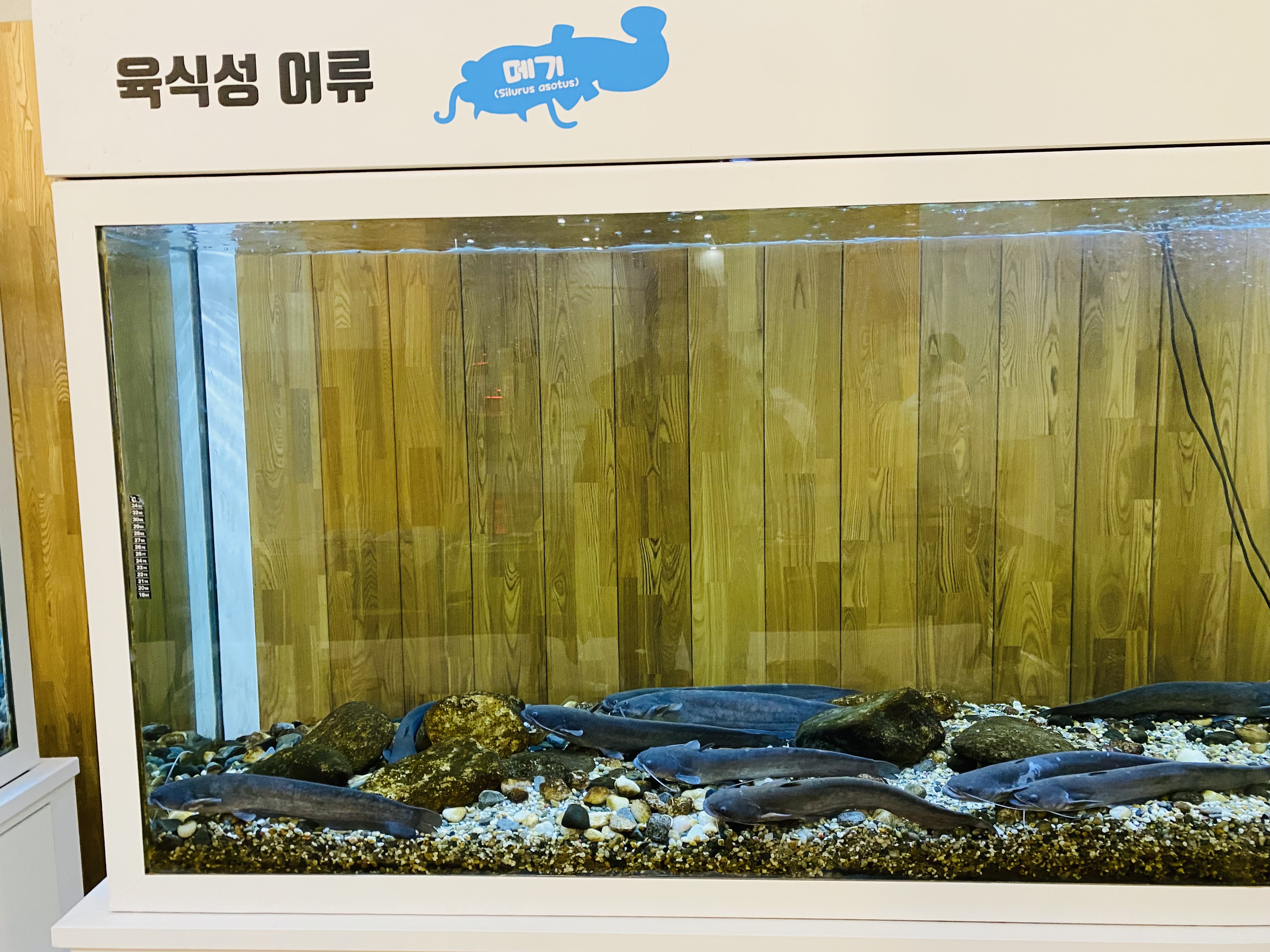 충청남도교육청과학교육원
