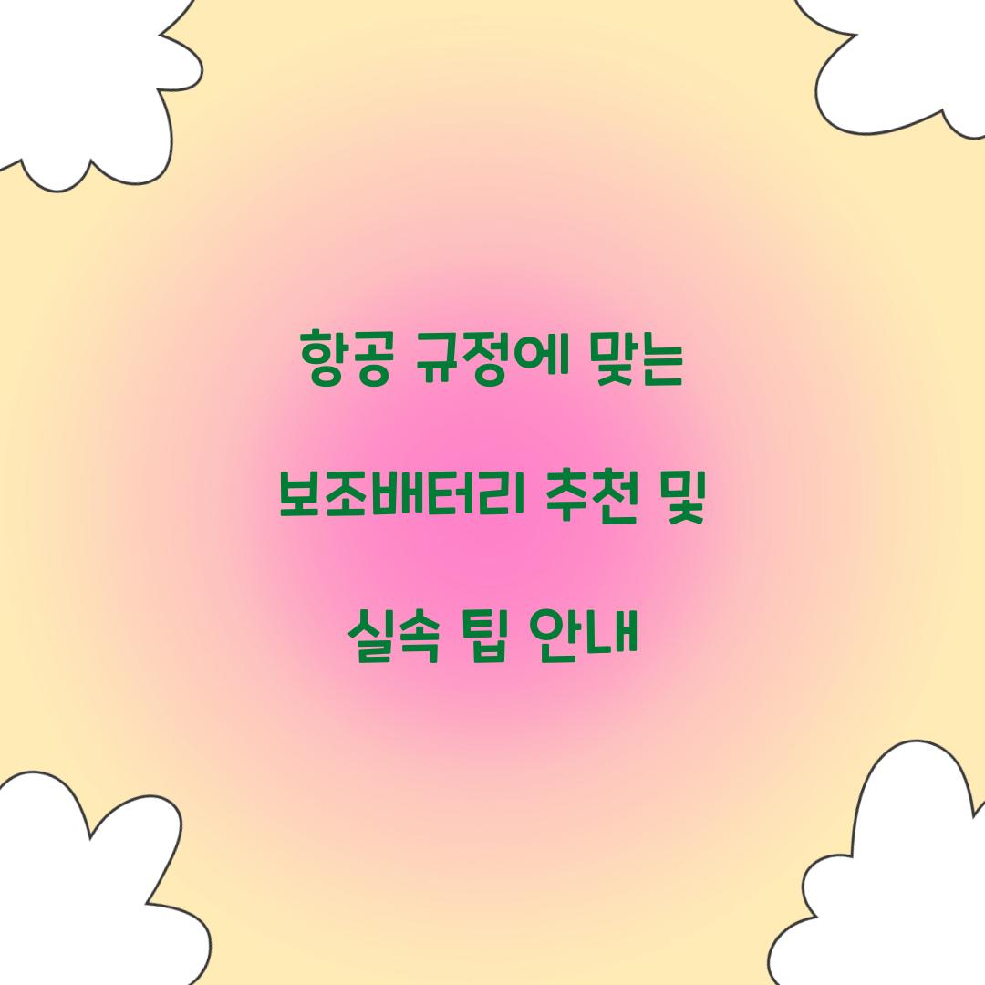 ํญ๊ณต ๊ท์ ์ ๋ง๋ ๋ณด์กฐ๋ฐฐํฐ๋ฆฌ ์ถ์ฒ