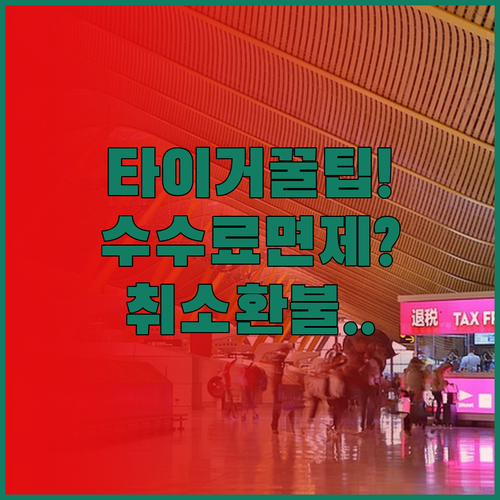 타이거에어 대만 항공권 취소 수수료 ..