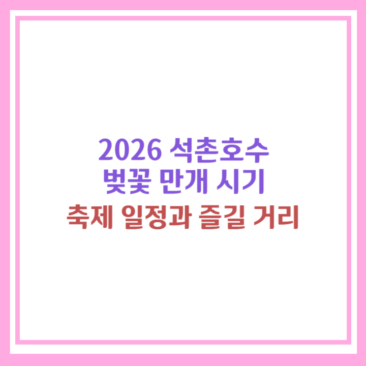 2026 석촌호수 벚꽃