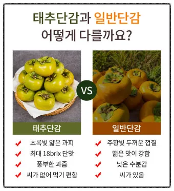 "태추단감이란/