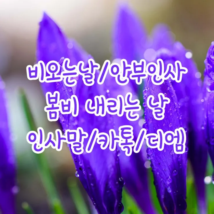 봄비 인사말 이미지 비오는날 일러스트_2