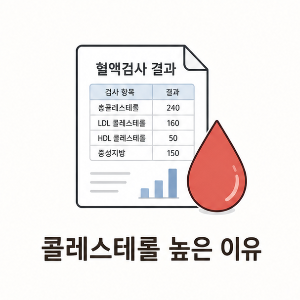 콜레스테롤 높은 이유 대표 이미지, 혈액검사 결과지와 물방울 아이콘을 결합한 일러스트