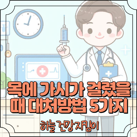 목에 가시가 걸렸을때 대처방법 5가지