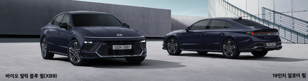 바이오-필릭-블루-펄