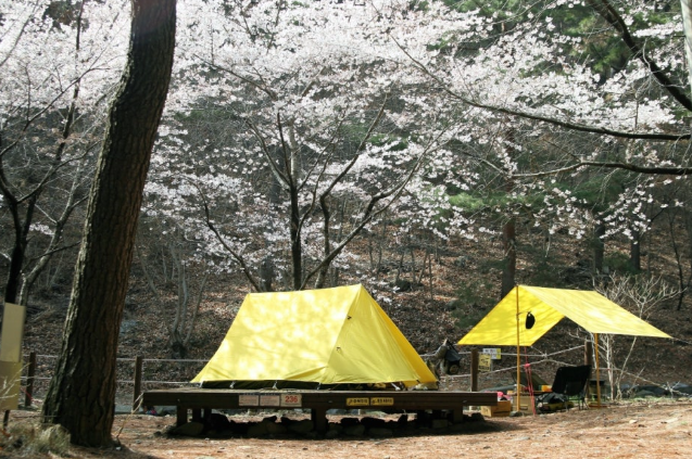 국립자연휴양림