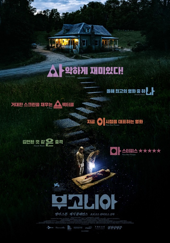 부고니아 관련 사진