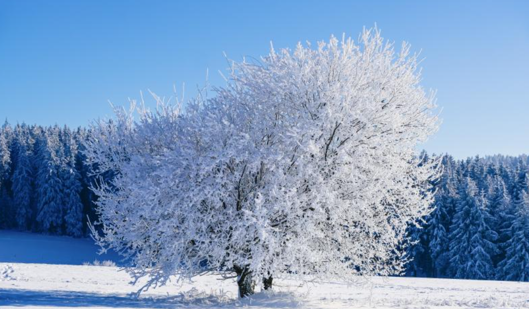 경주 날씨 예보