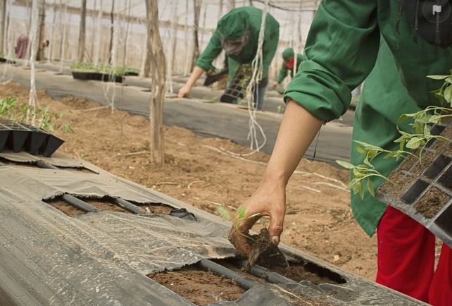 귀농 농사짓는 사진