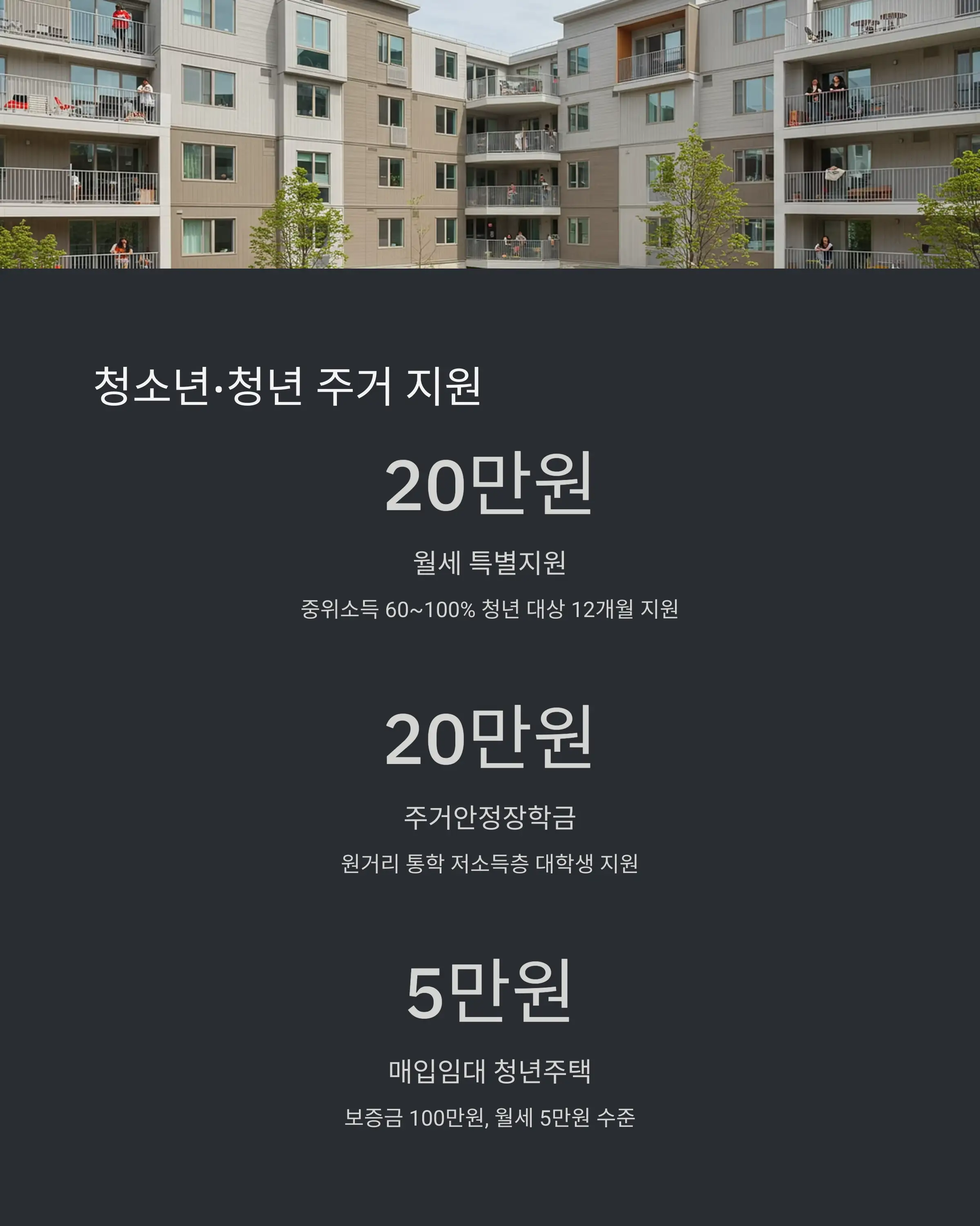 청년 일자리 및 고용 지원 제도 💼