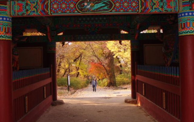 2025 계룡산 단풍 절정 시기 & 등산코스 추천 안내 ❘ 충남 가을 명소