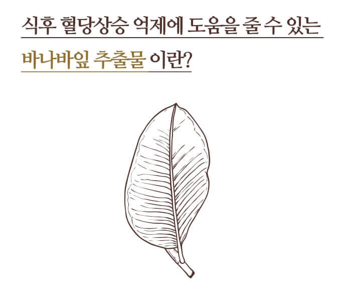 바나바잎 추출물