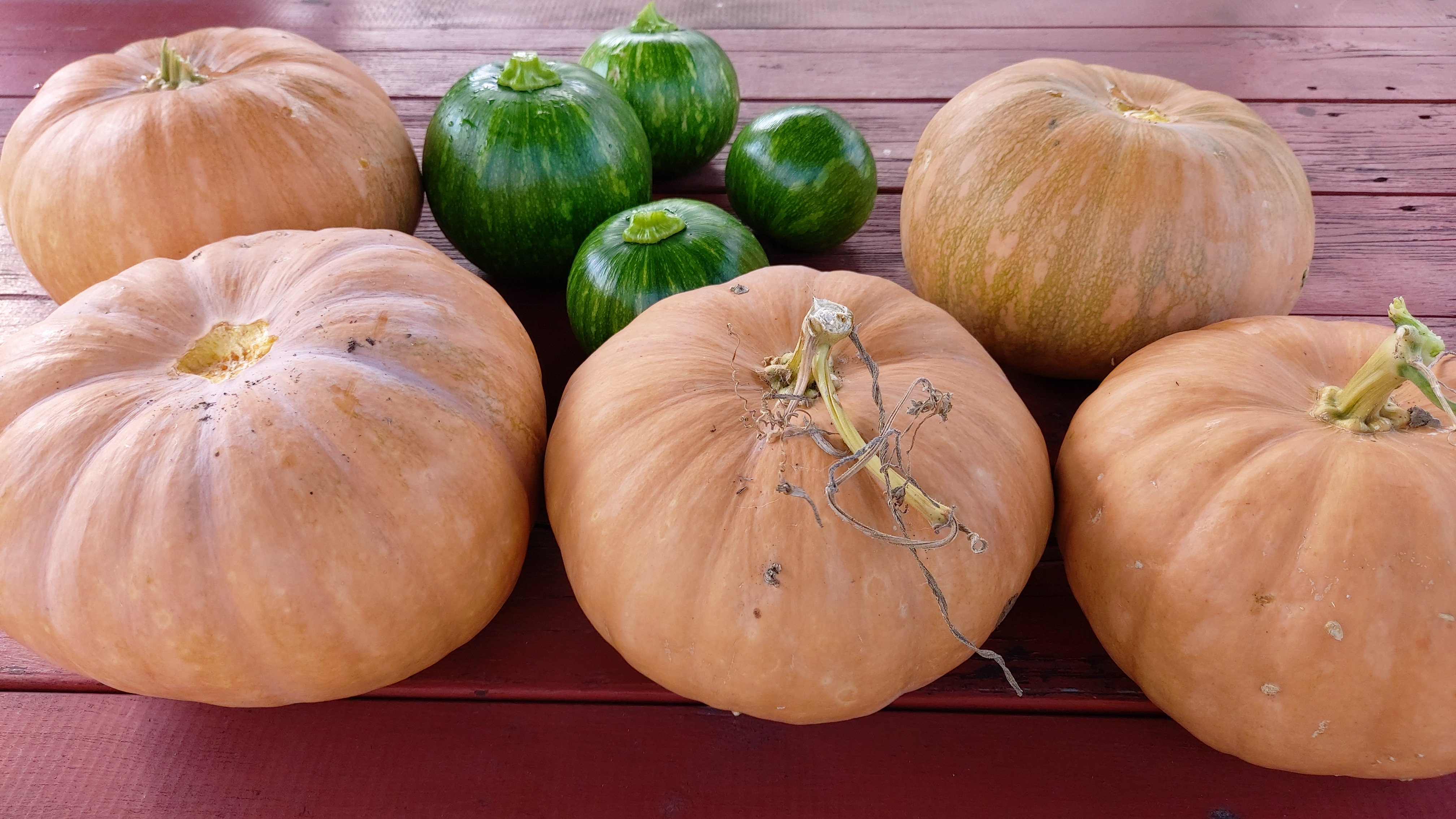 늙은호박,늙은호박효능,할머니회춘비밀,회춘비결,호박효능,다이어트식품,해독주스,부기제거,면역력강화,변비해소,천연슈퍼푸드,건강정보,하하공주한끼,자연요리레시피