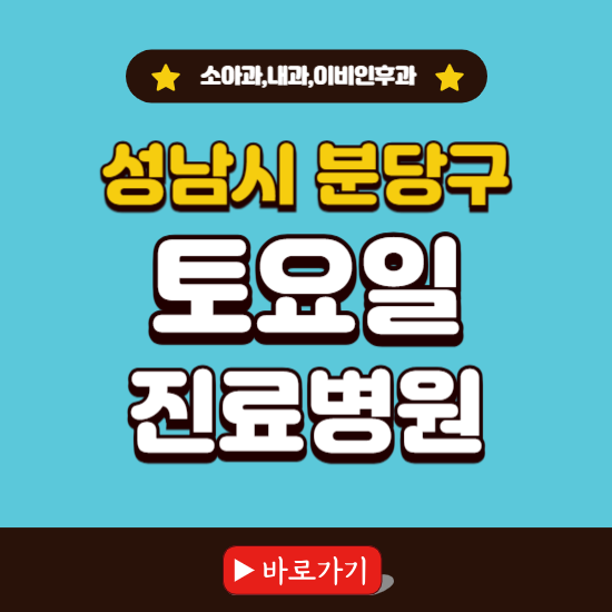 성남시 분당구 토요일 진료 병원 찾기 ❘ 주말 문여는 소아과, 내과, 이비인후과 리스트