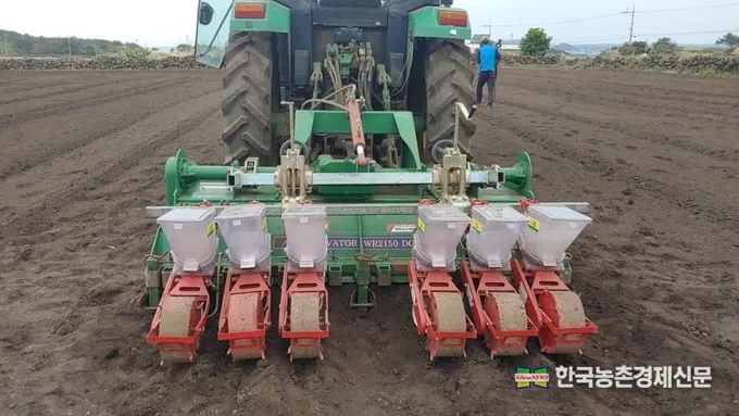 땅콩 심는 시기 수확시기 모종 파종_8