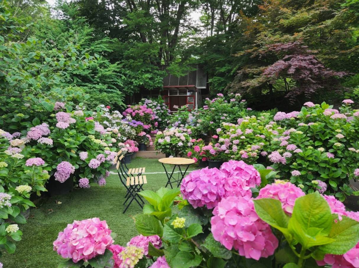 율봄식물원-경기도 수국 명소