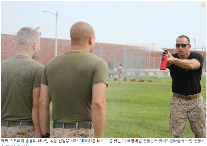 페페 스프레이 시험중