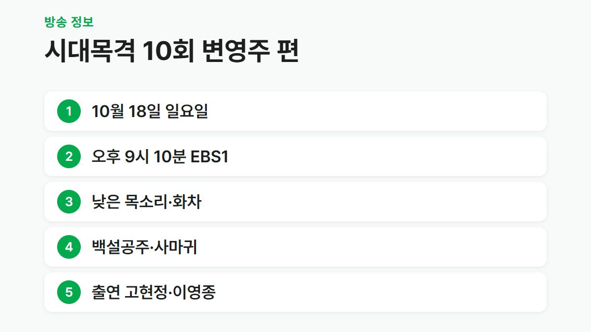 변영주 감독 편 시대목격 10회 방송 시간과 다루는 작품 정리 카드