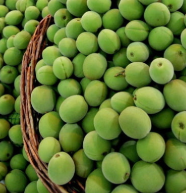 매실 효능과 부작용 고르는법 칼로리