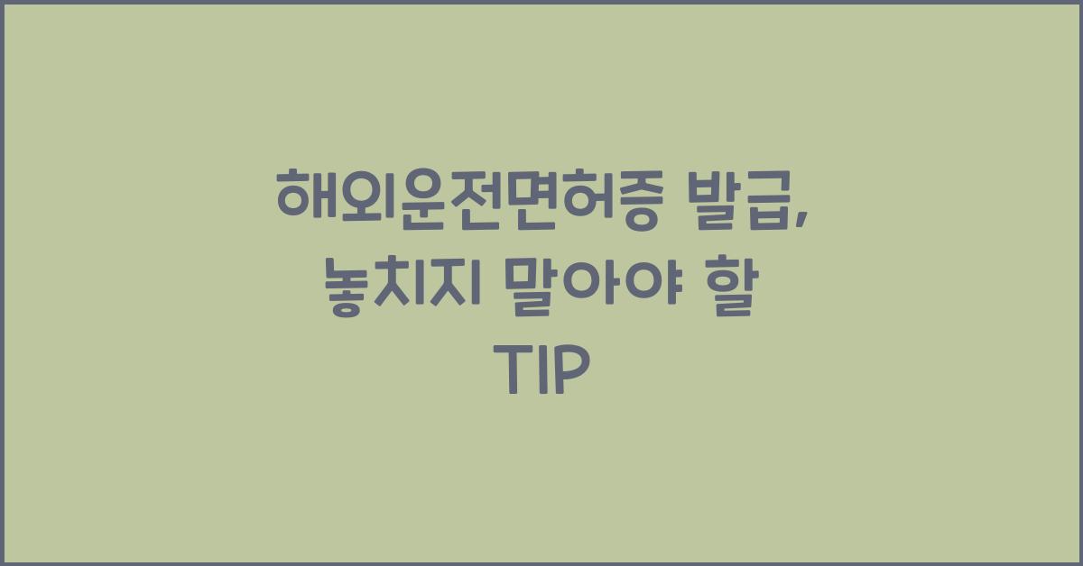 해외운전면허증