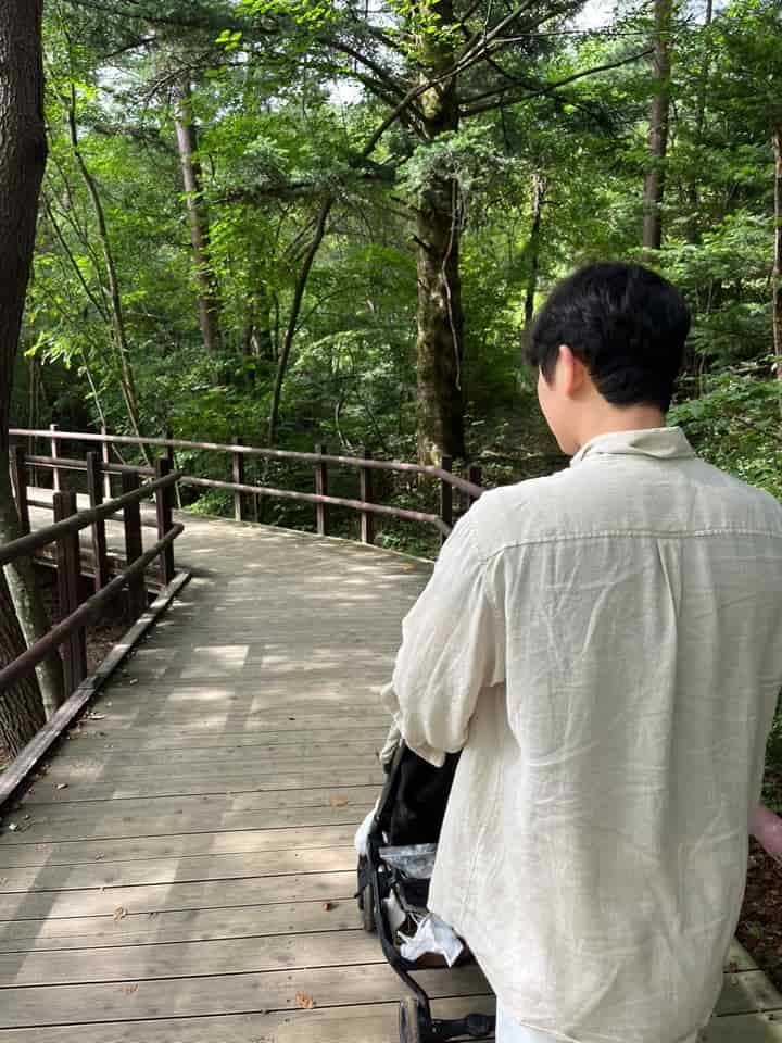 월정사 전나무 숲길 데크