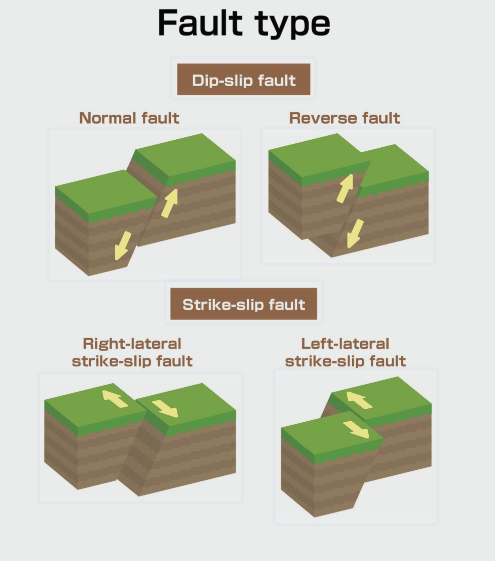 습곡과 단층: 거대한 힘이 빚어낸 지층의 예술적 변형
