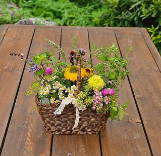 언덕마루의 꽃피는 샐허브 체험 수업