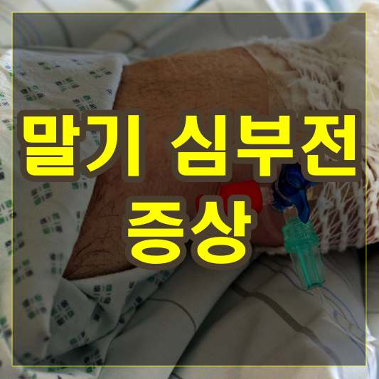 말기 심부전 증상