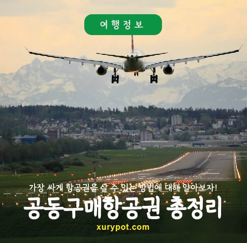 공동구매항공권