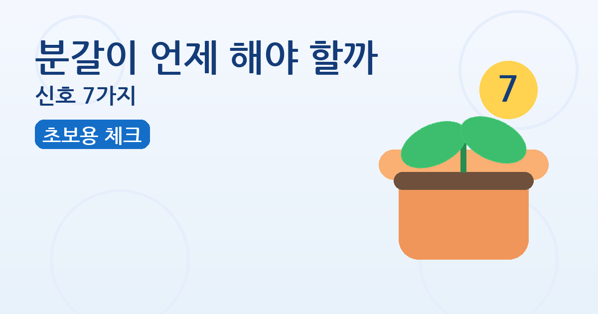 분갈이 언제 해야 할까: 신호 7가지