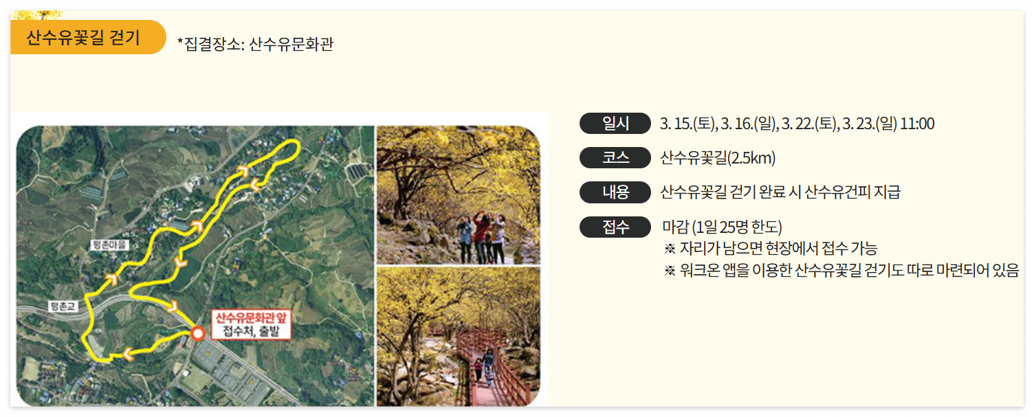 산수유꽃길