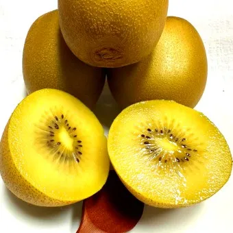 골드키위 효능 부작용_4