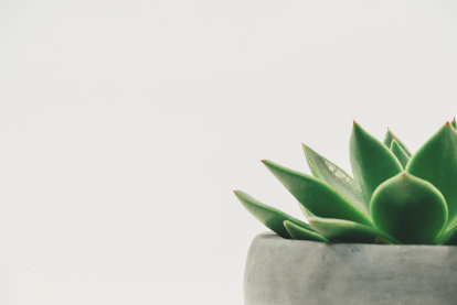 심플 속에서 찾은 나만의 행복