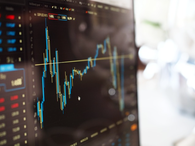 본장_애프터장_프리마켓장