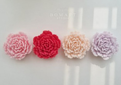 스승의 날 선물 best 10 