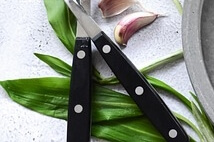 눈 영양제 추천