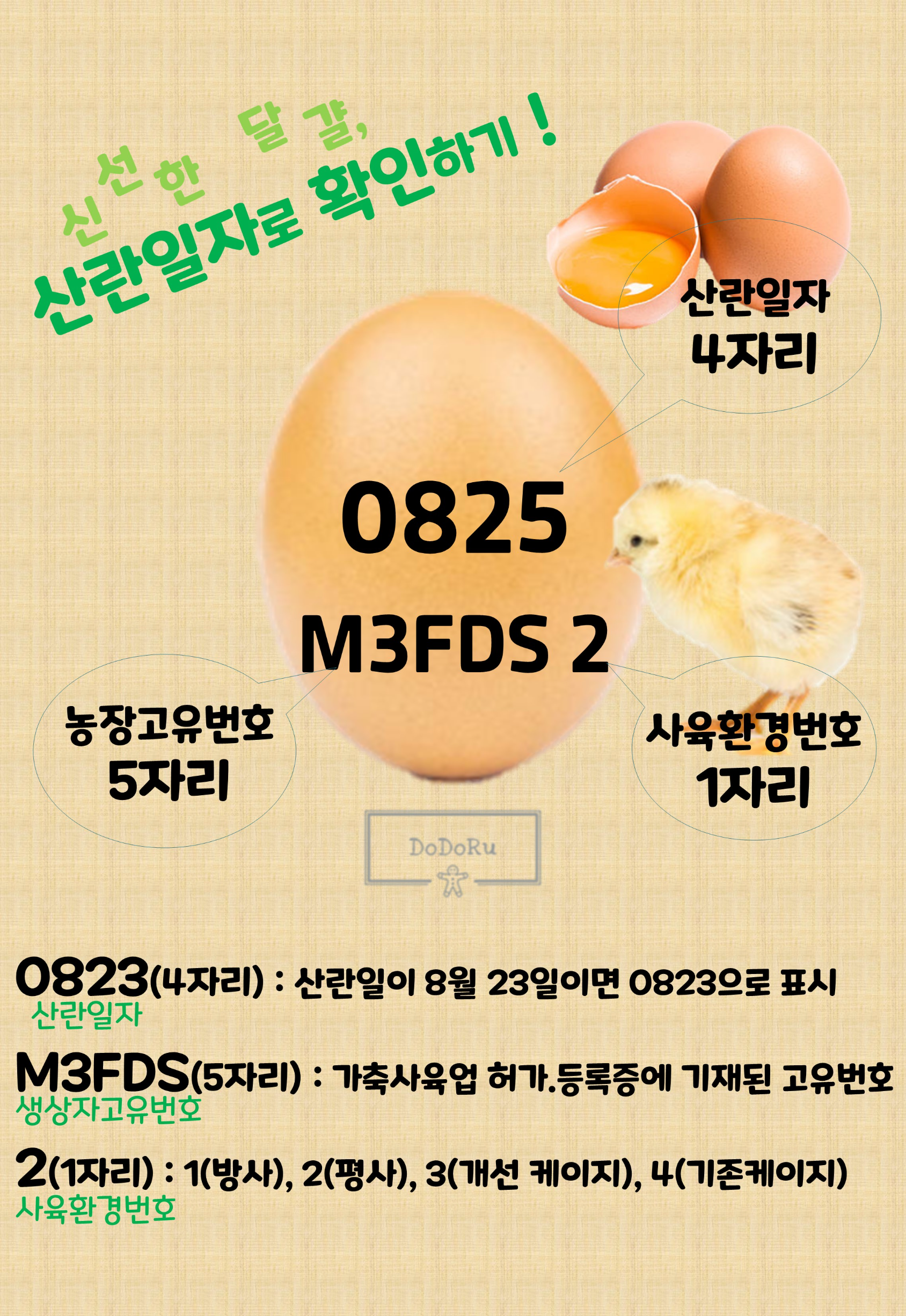 산날일자-확인하는-방법