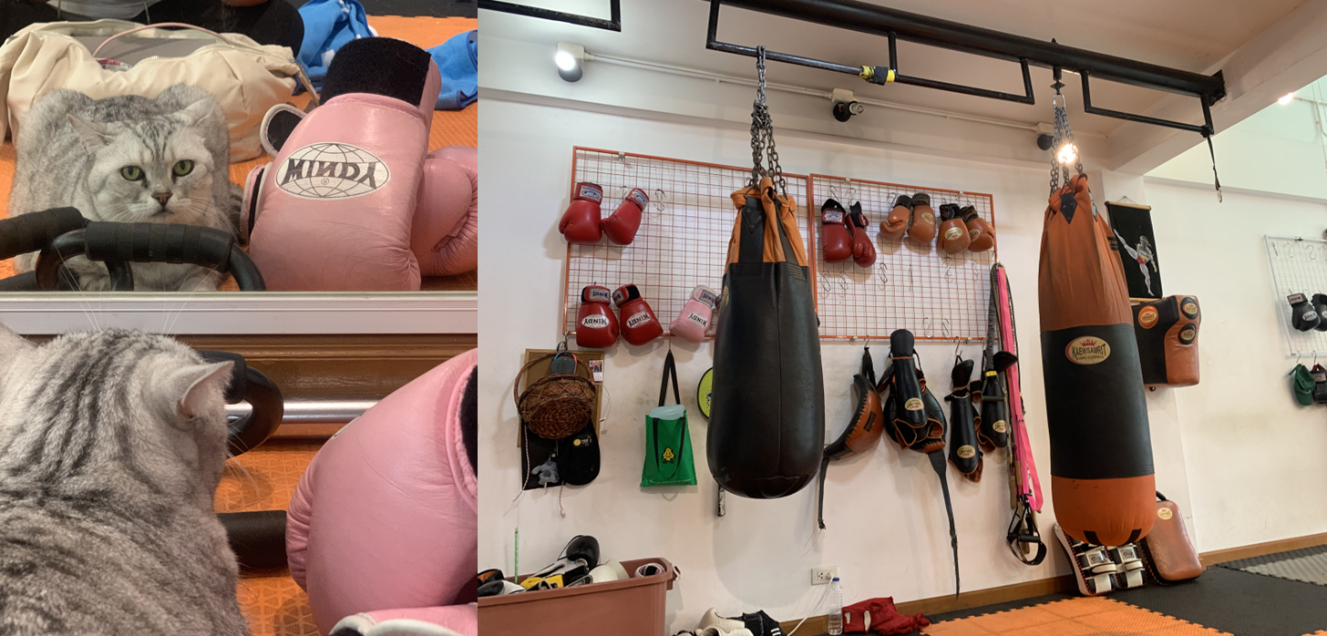 글로브와 샌드백