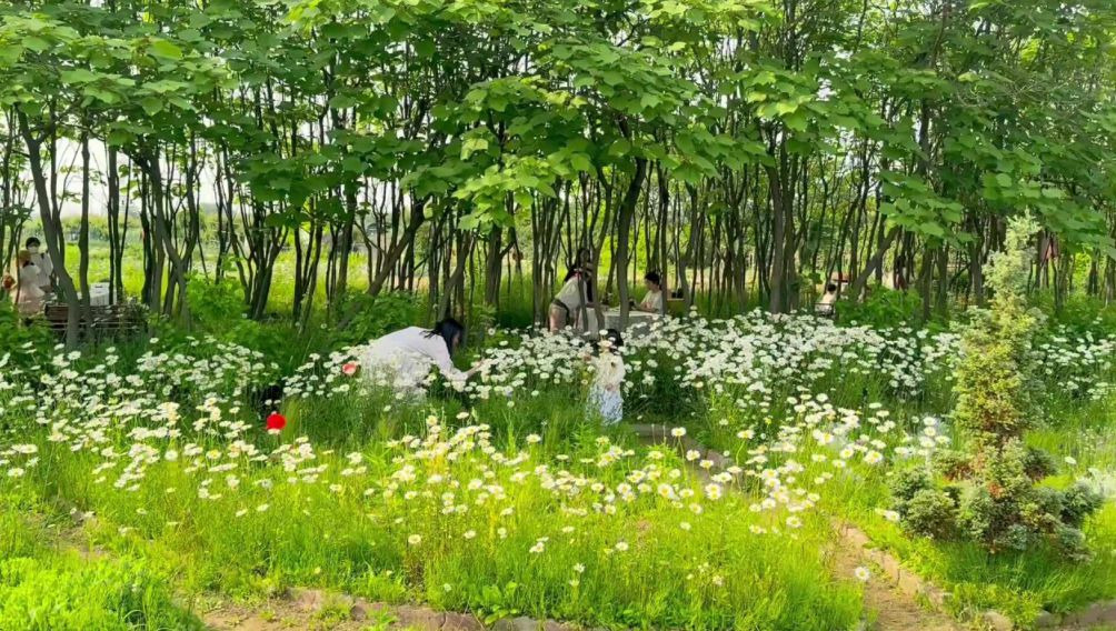 모네정원