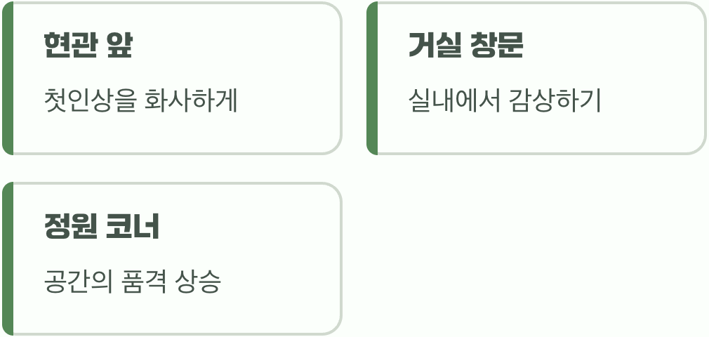 정원의 완벽한 '포인트 트리'