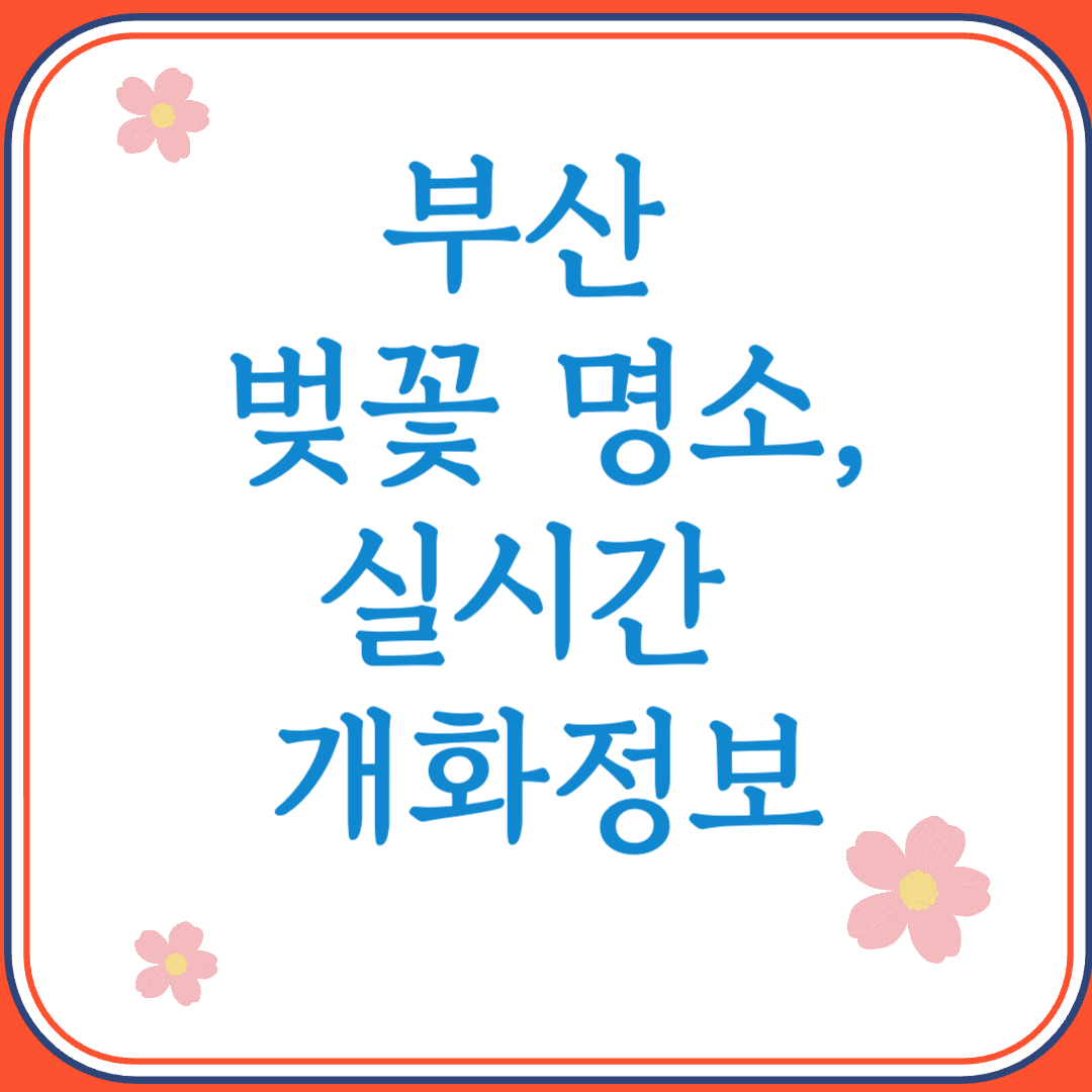 부산 벚꽃 명소 실시간 개화정보 알아보기