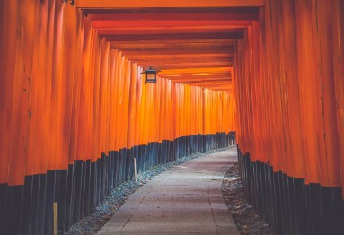 도리이문 또는 도리이 터널 사진