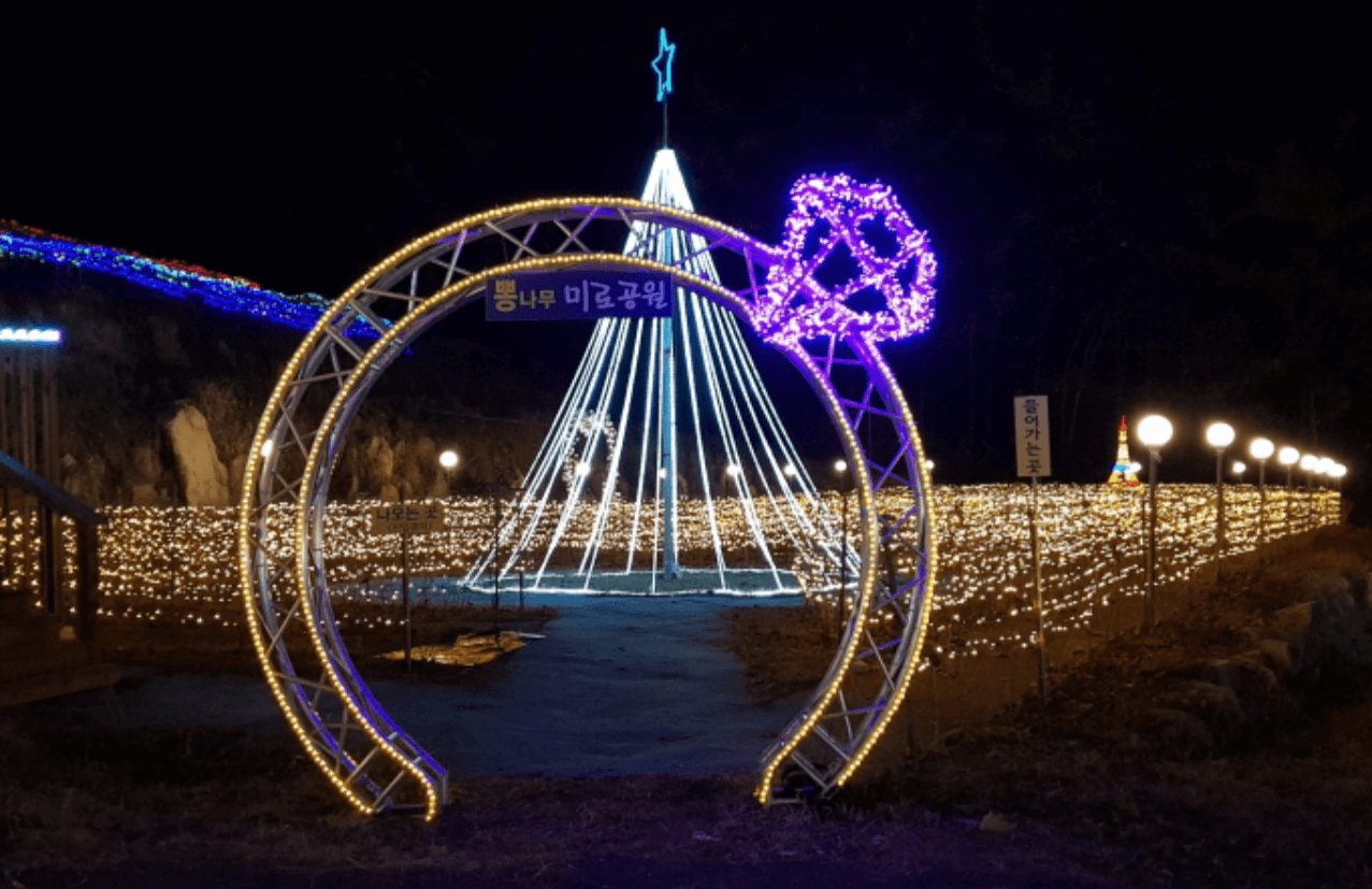 2024년 2월 강원도 여행 축제 갈만한 곳 추천