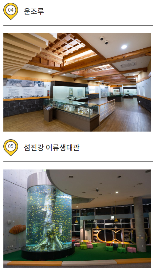 구례산수유축제