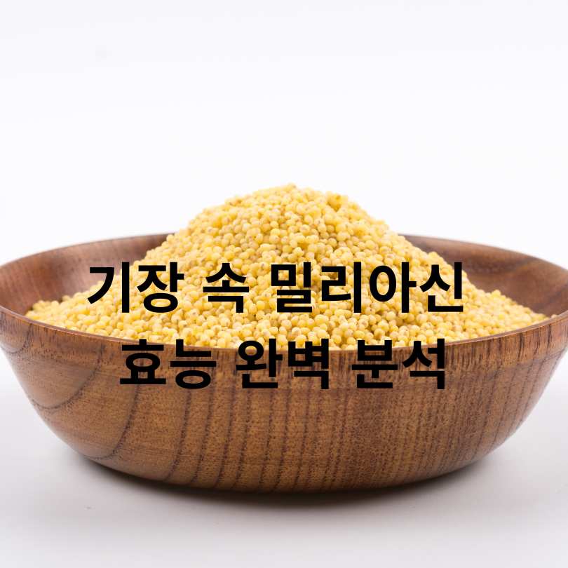 기장 속 밀리아신 효능 완벽 분석