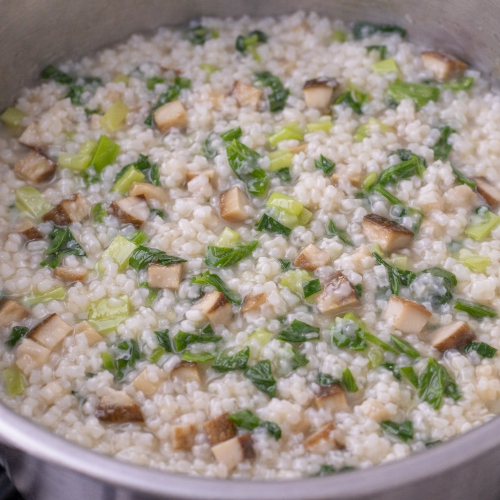 감칠맛 나는 닭고기 표고버섯 진밥 완성 농도와 12개월 아기 식단