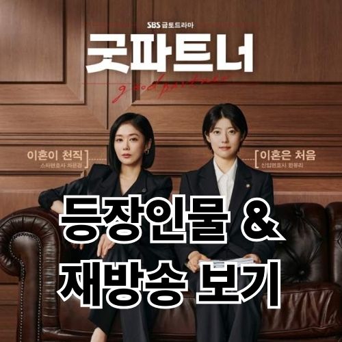 금토드라마 굿파트너 재방송 보기