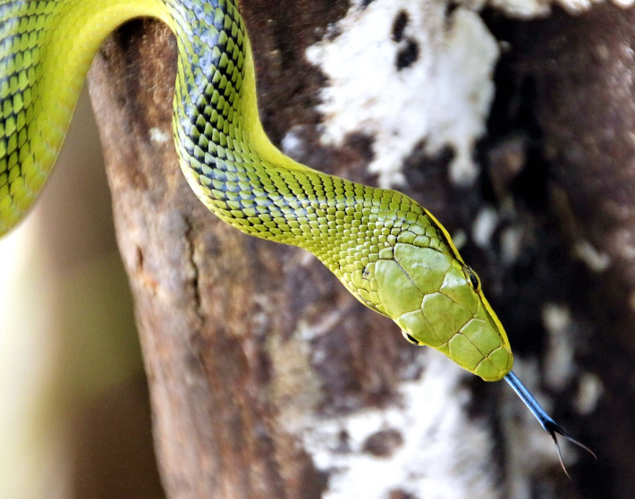 오늘의 운세 2023년 10월 25일