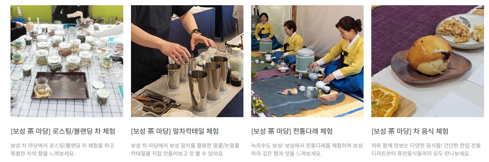 [5월 축제]2025 보성다향대축제❘기간, 일정, 프로그램 예약 방법, 추천코스, 셔틀 정보